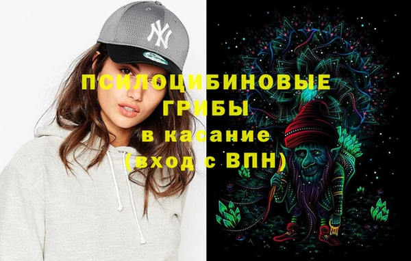 спиды Осинники