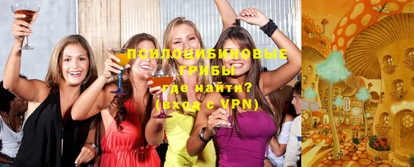 спиды Осинники