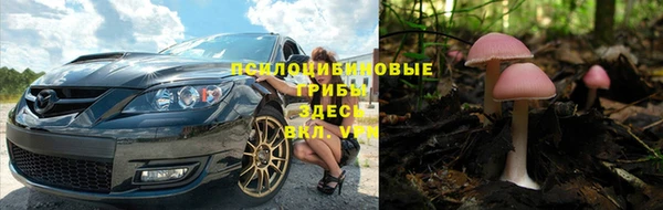 спиды Осинники