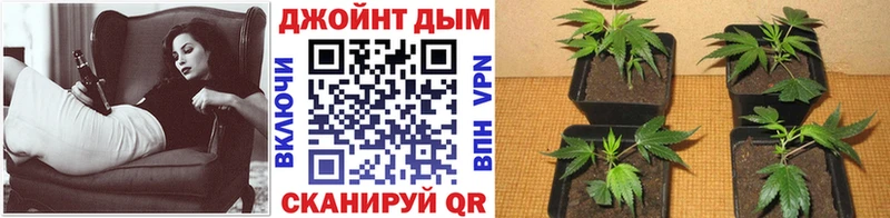 продажа наркотиков Уржум Марихуана AK-47